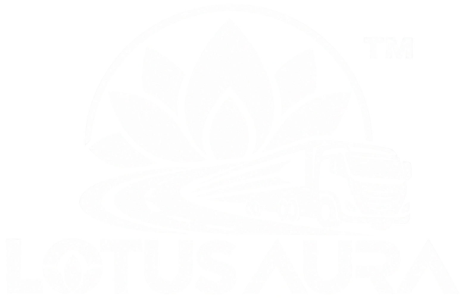 Lotus Aura Transit Solutions Light logo